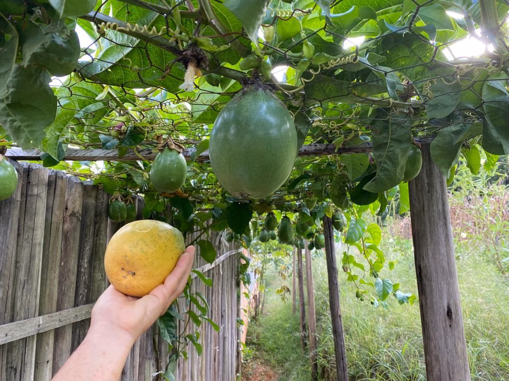 Sítio de 10 ha em São Miguel Arcanjo, SP