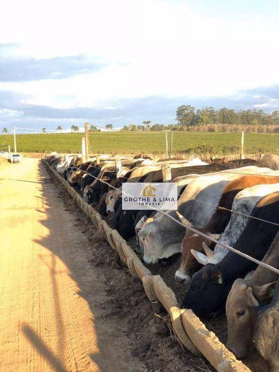 Fazenda de 5.050 ha em Uberlândia, MG