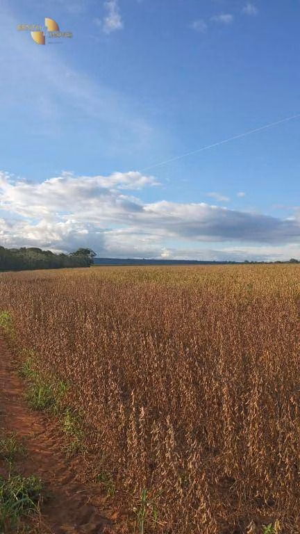 Fazenda de 212 ha em Juscimeira, MT