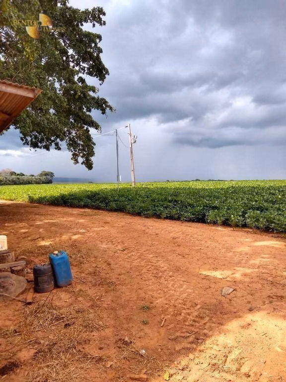 Fazenda de 212 ha em Juscimeira, MT