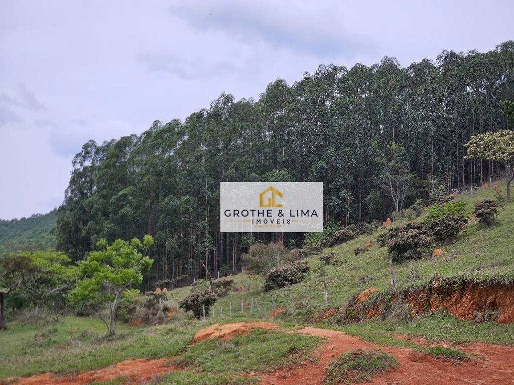Fazenda de 292 ha em Guaratinguetá, SP