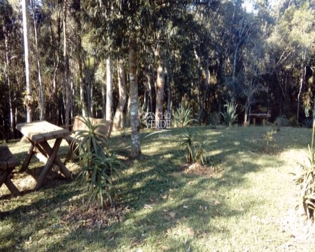Sítio de 1 ha em Santo Antônio do Pinhal, SP