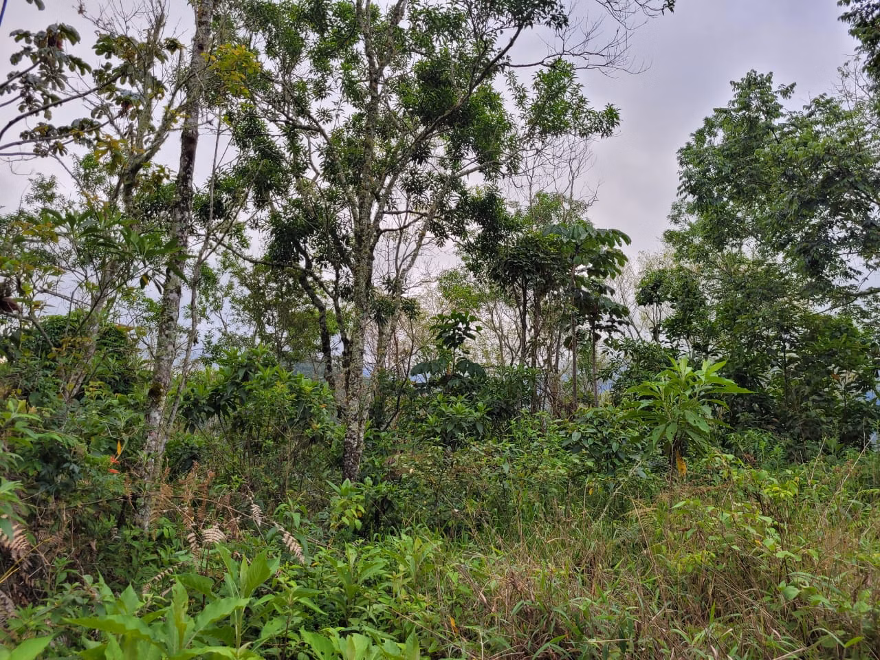 Terreno de 2 ha em São José dos Campos, SP