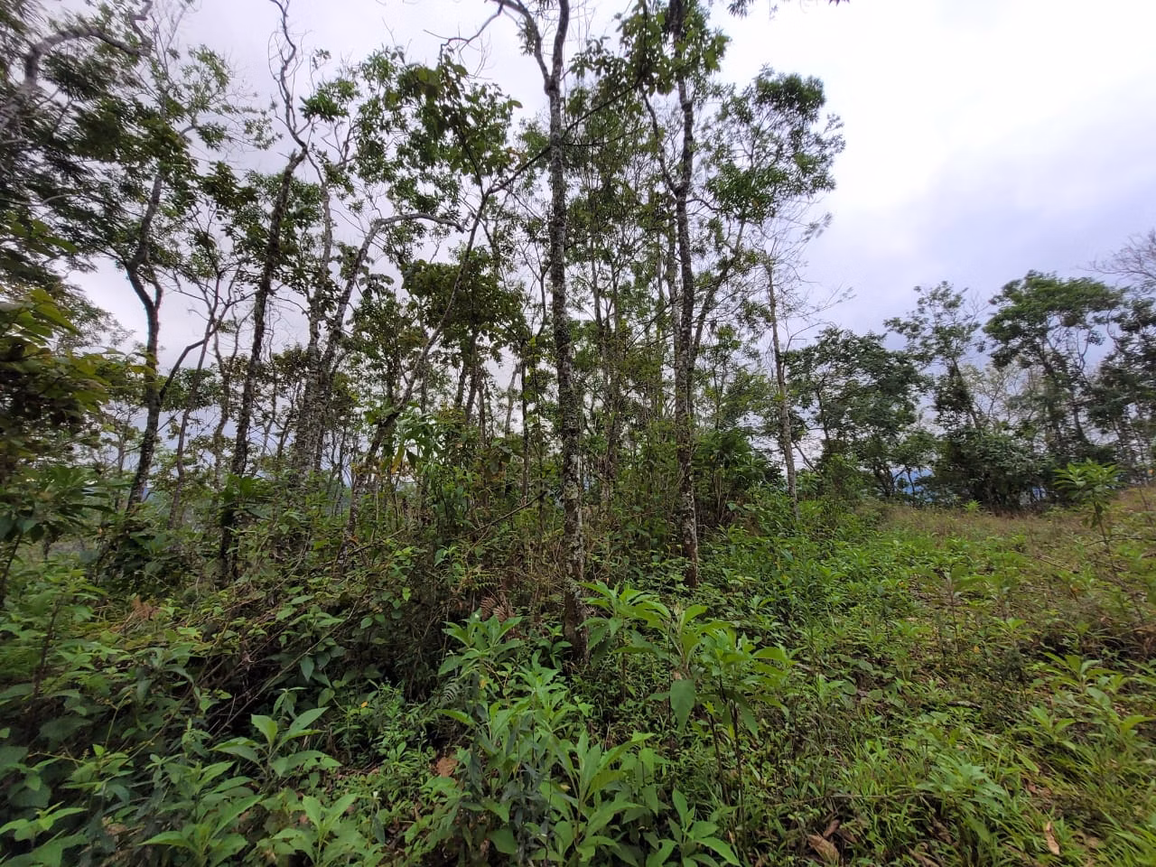 Terreno de 2 ha em São José dos Campos, SP