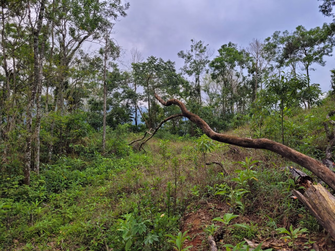 Terreno de 2 ha em São José dos Campos, SP