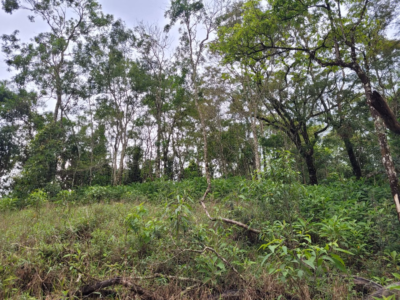 Terreno de 2 ha em São José dos Campos, SP