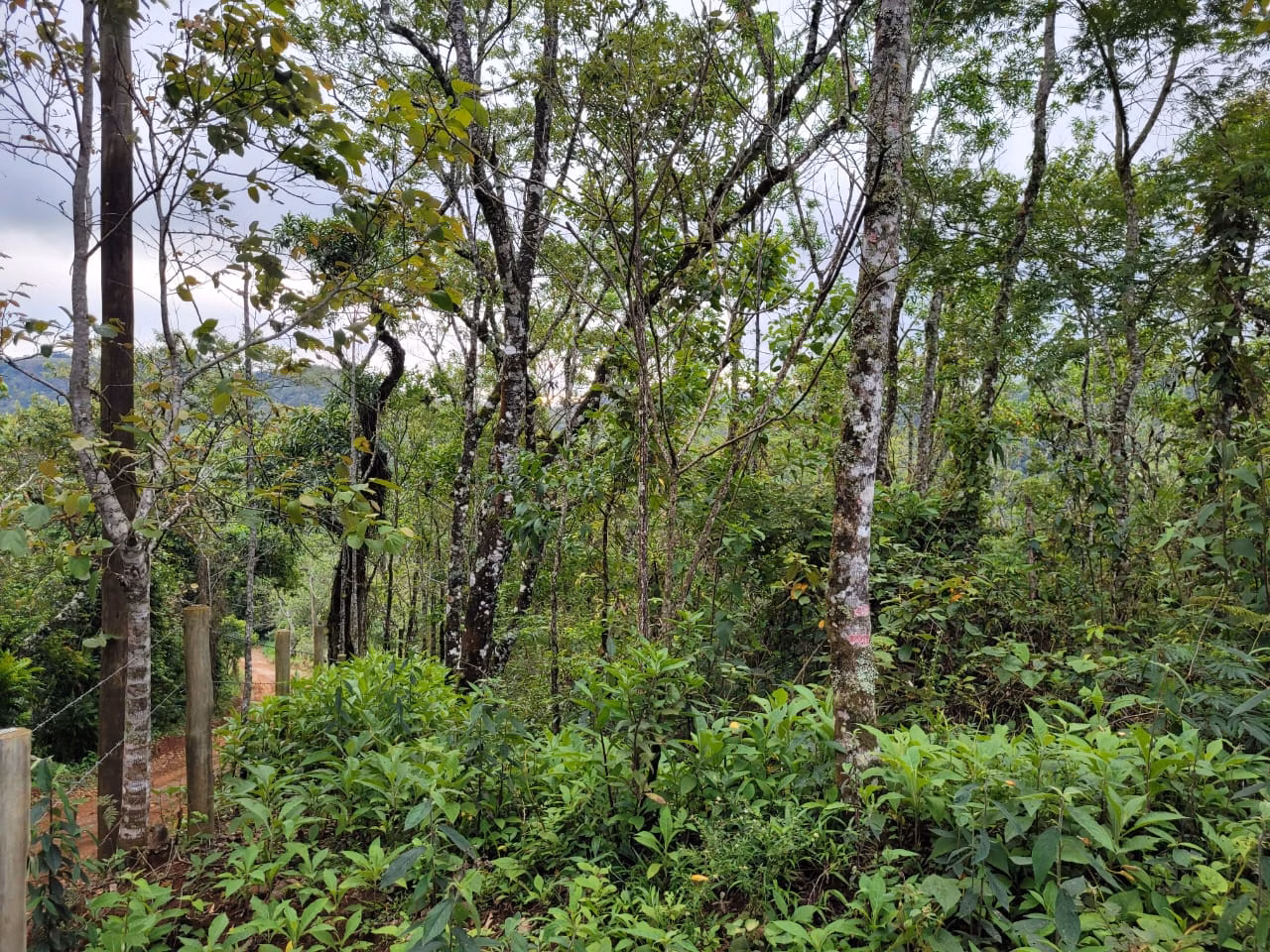 Terreno de 2 ha em São José dos Campos, SP