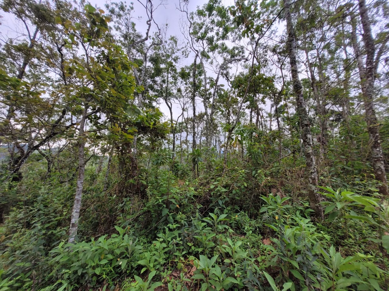 Terreno de 2 ha em São José dos Campos, SP