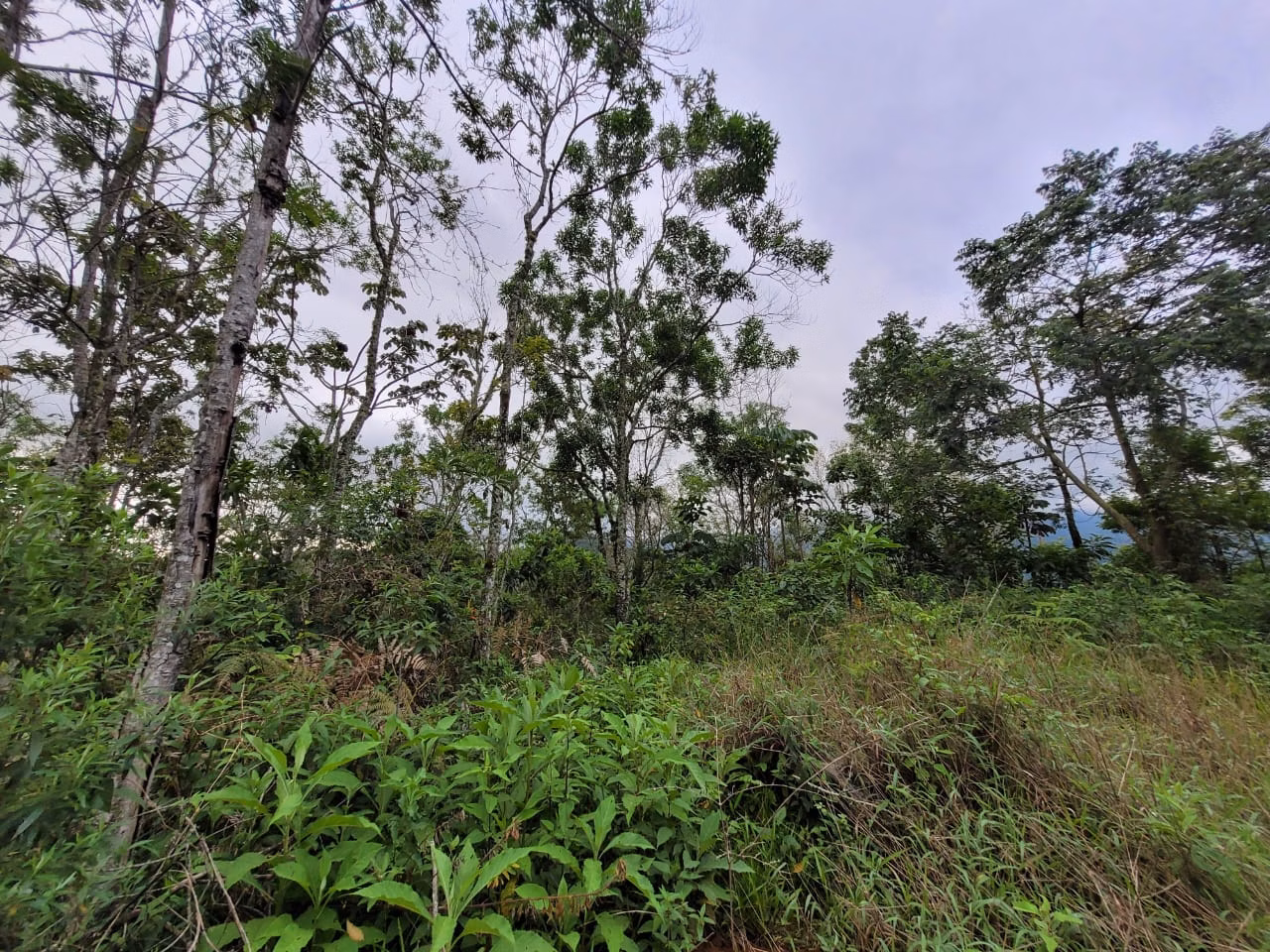 Terreno de 2 ha em São José dos Campos, SP