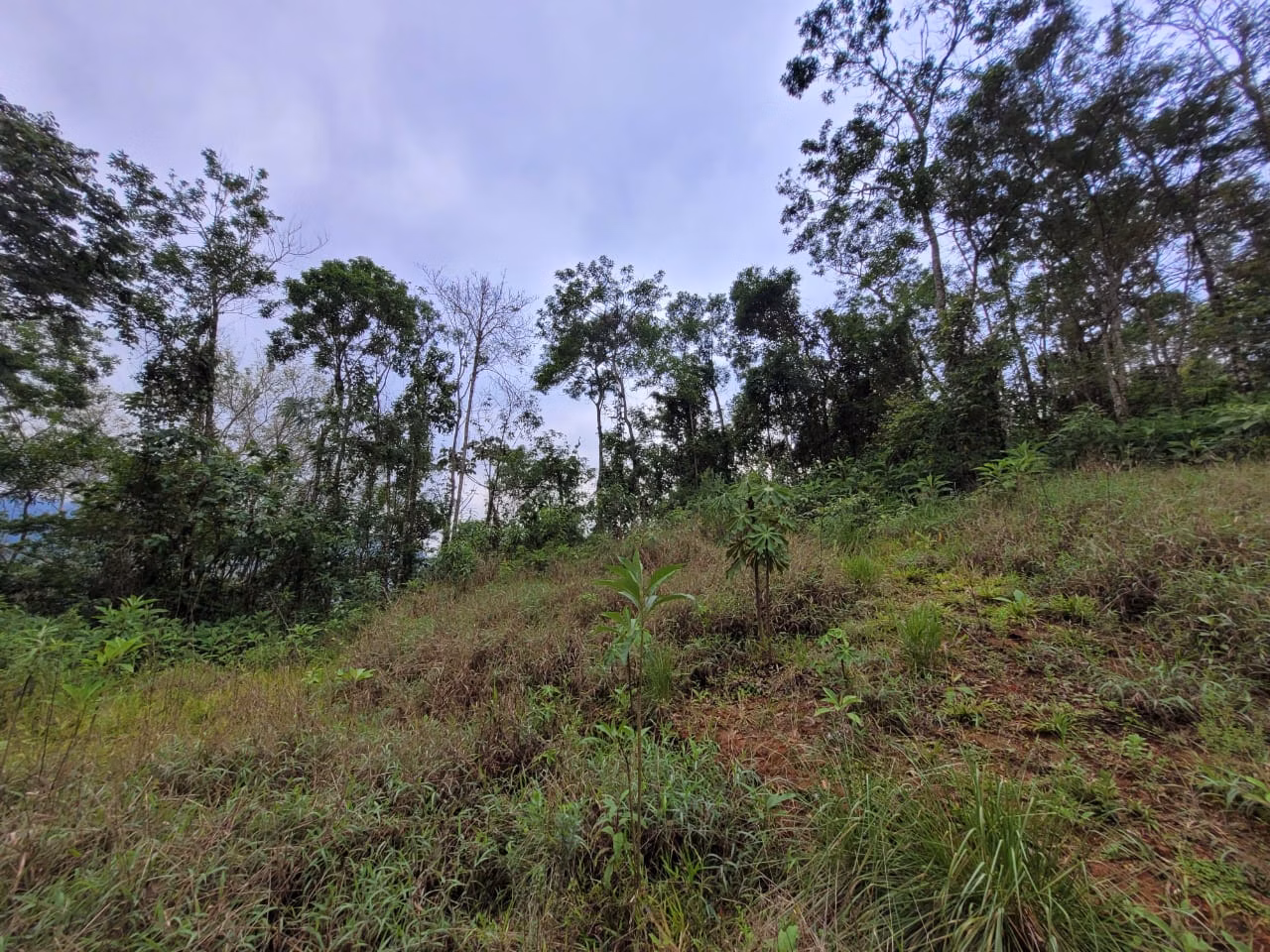 Terreno de 2 ha em São José dos Campos, SP