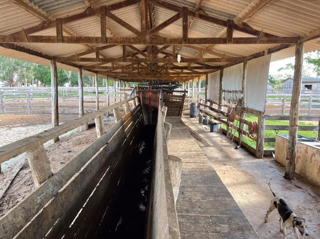 Farm of 17,544 acres in Alcinópolis, MS, Brazil