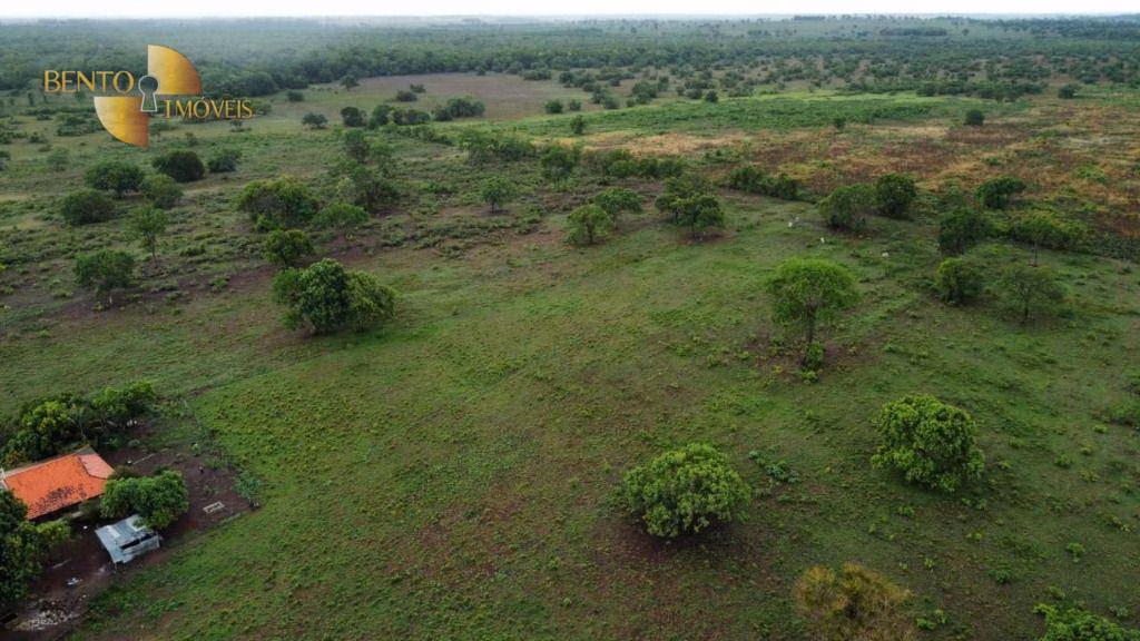 Farm of 2,076 acres in Cuiabá, MT, Brazil