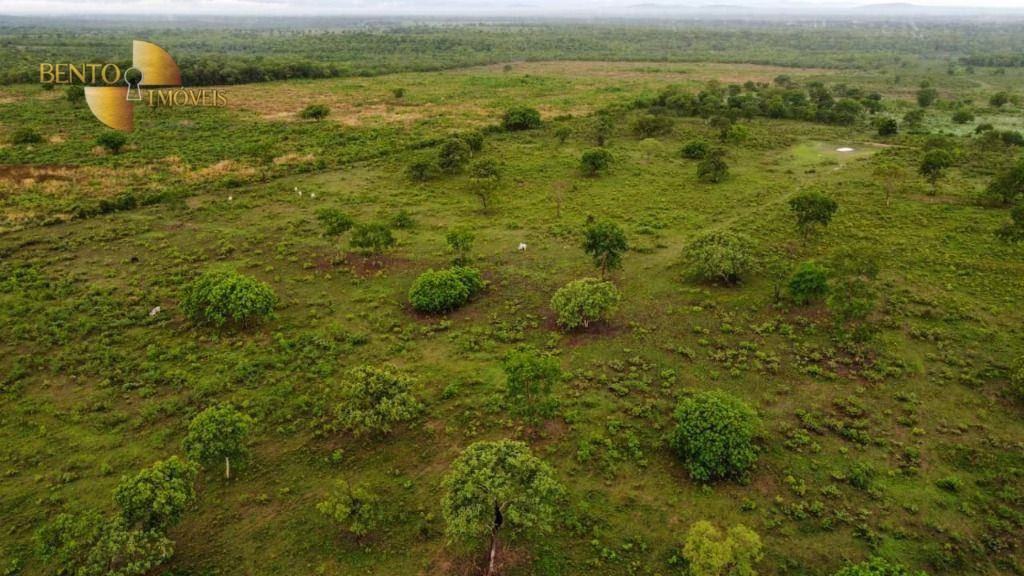 Farm of 2,076 acres in Cuiabá, MT, Brazil