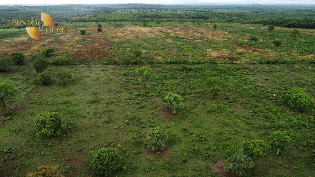 Farm of 2,076 acres in Cuiabá, MT, Brazil