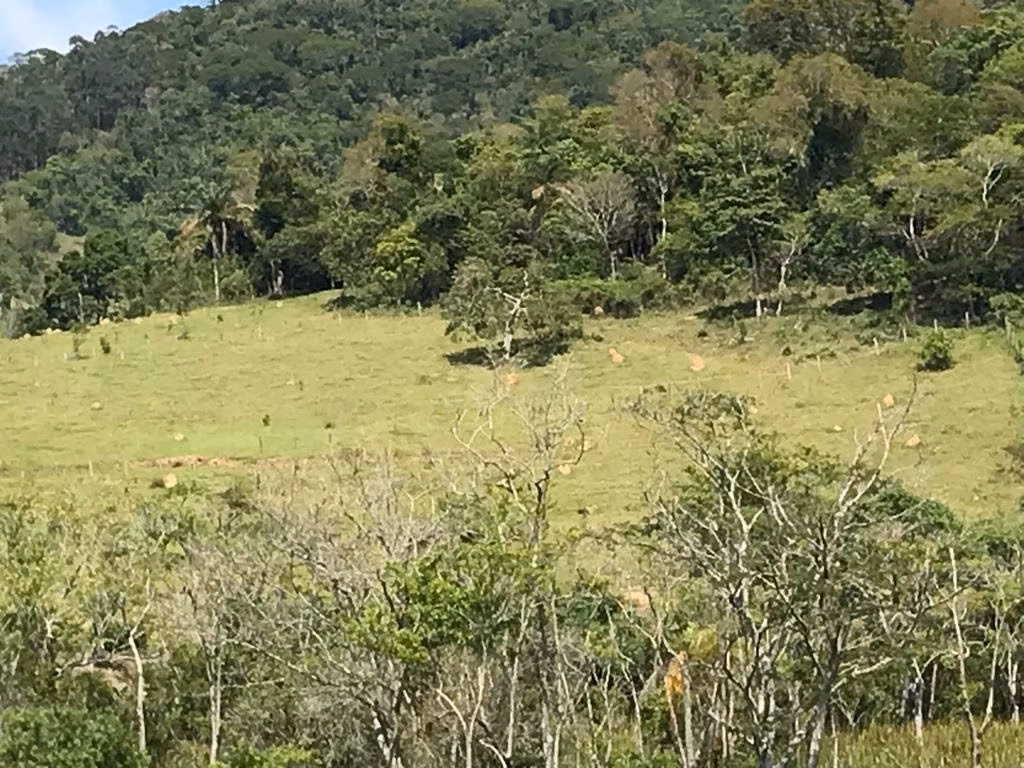 Plot of 3,000 m² in Paraibuna, SP, Brazil