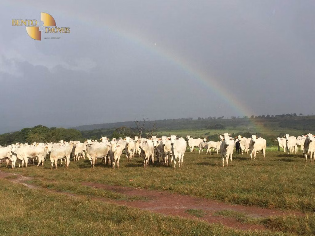 Fazenda de 3.903 ha em Tesouro, MT