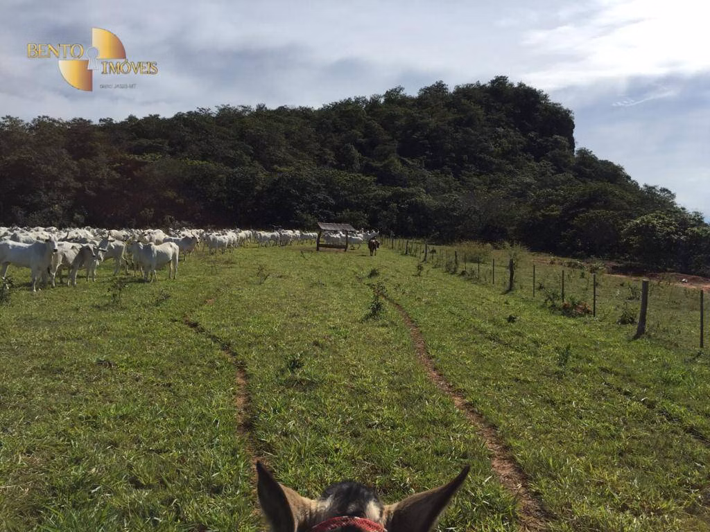 Fazenda de 3.903 ha em Tesouro, MT