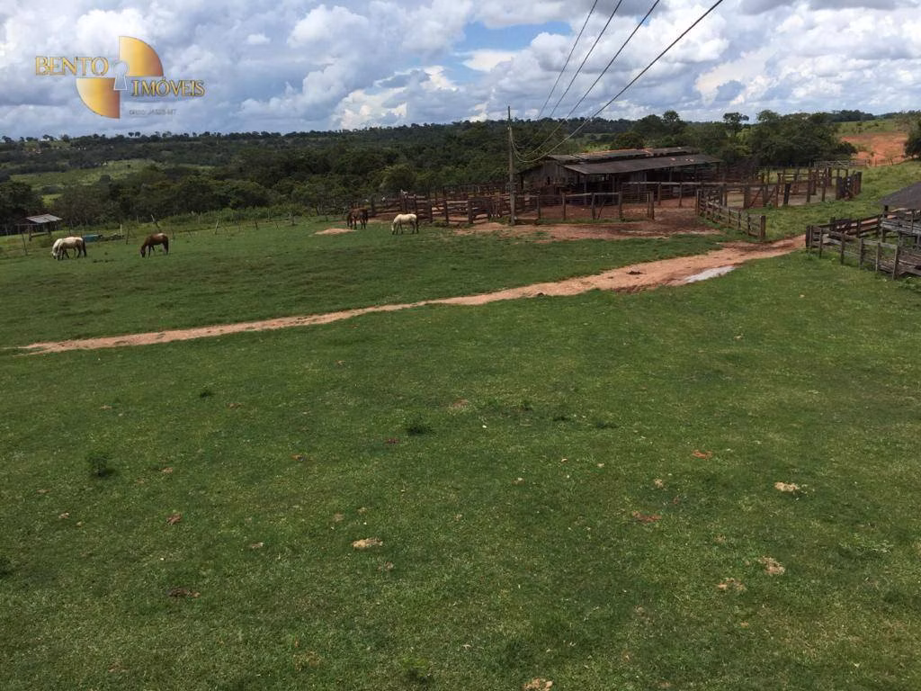 Fazenda de 3.903 ha em Tesouro, MT