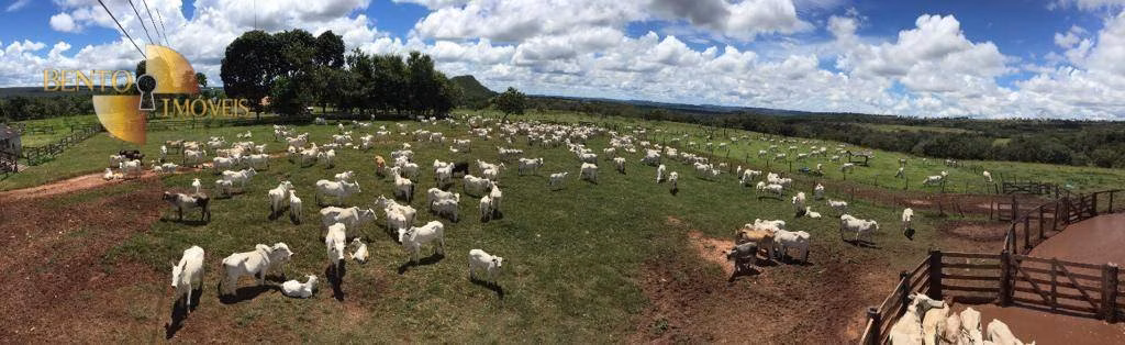 Fazenda de 3.903 ha em Tesouro, MT