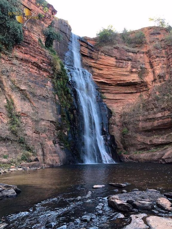 Fazenda de 3.903 ha em Tesouro, MT