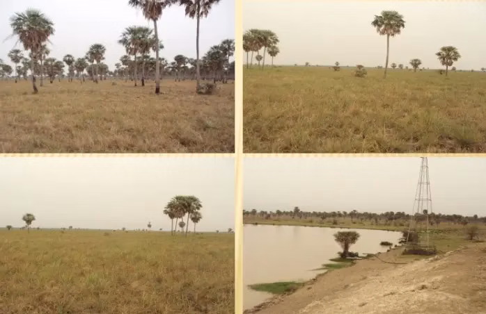 Ilha à venda de 12.100 ha em Benjamín Aceval, Paraguai