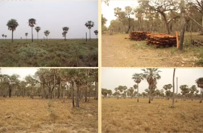 Ilha à venda de 12.100 ha em Benjamín Aceval, Paraguai