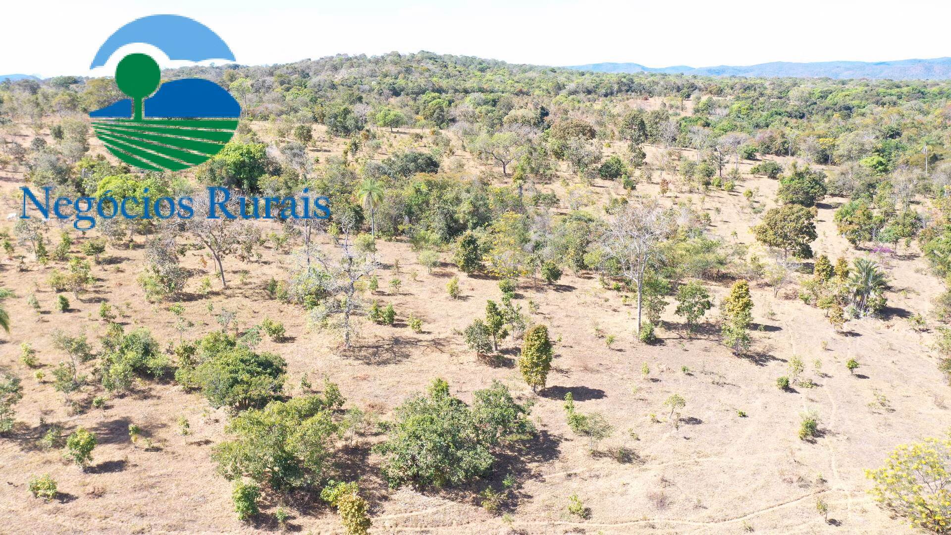 Fazenda de 295 ha em Formoso, GO