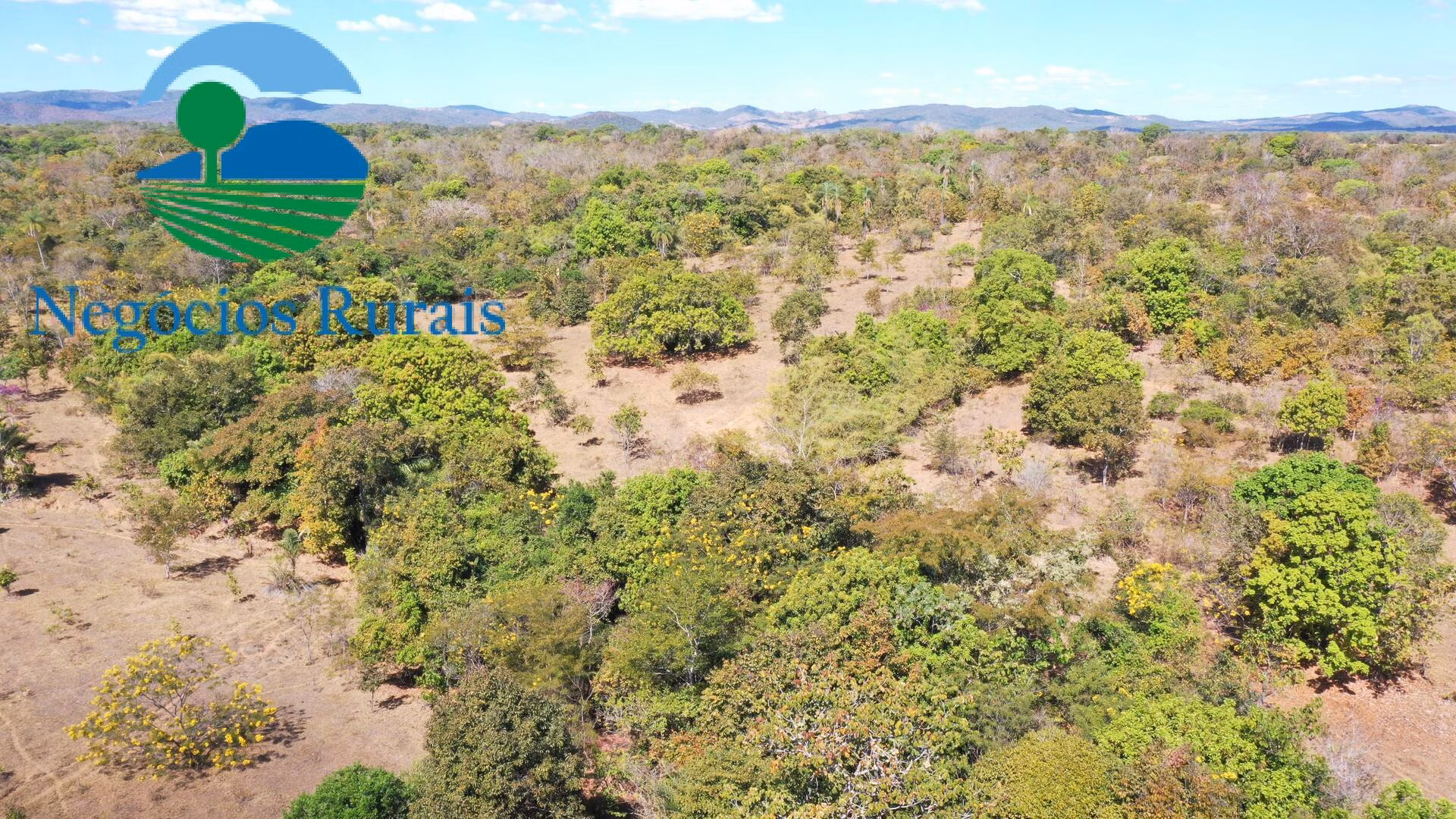 Fazenda de 295 ha em Formoso, GO