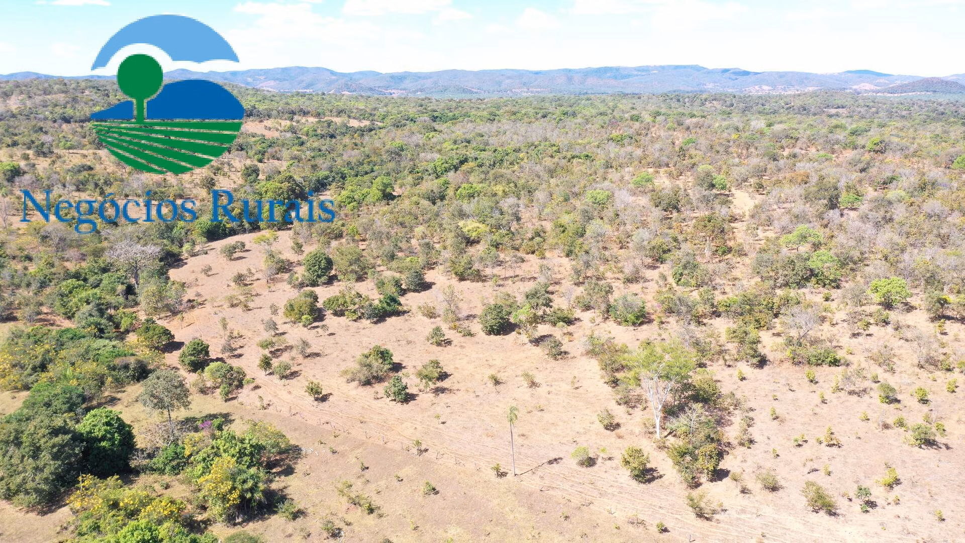 Fazenda de 295 ha em Formoso, GO