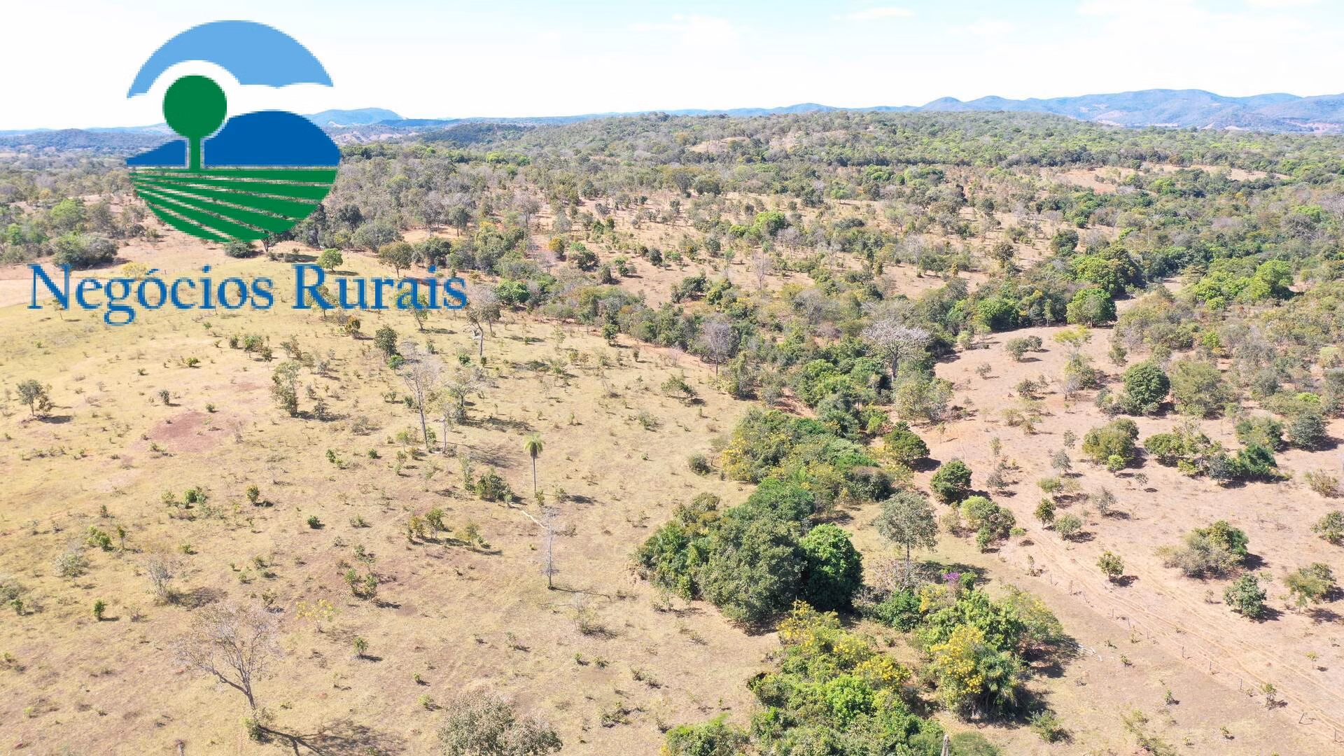 Fazenda de 295 ha em Formoso, GO