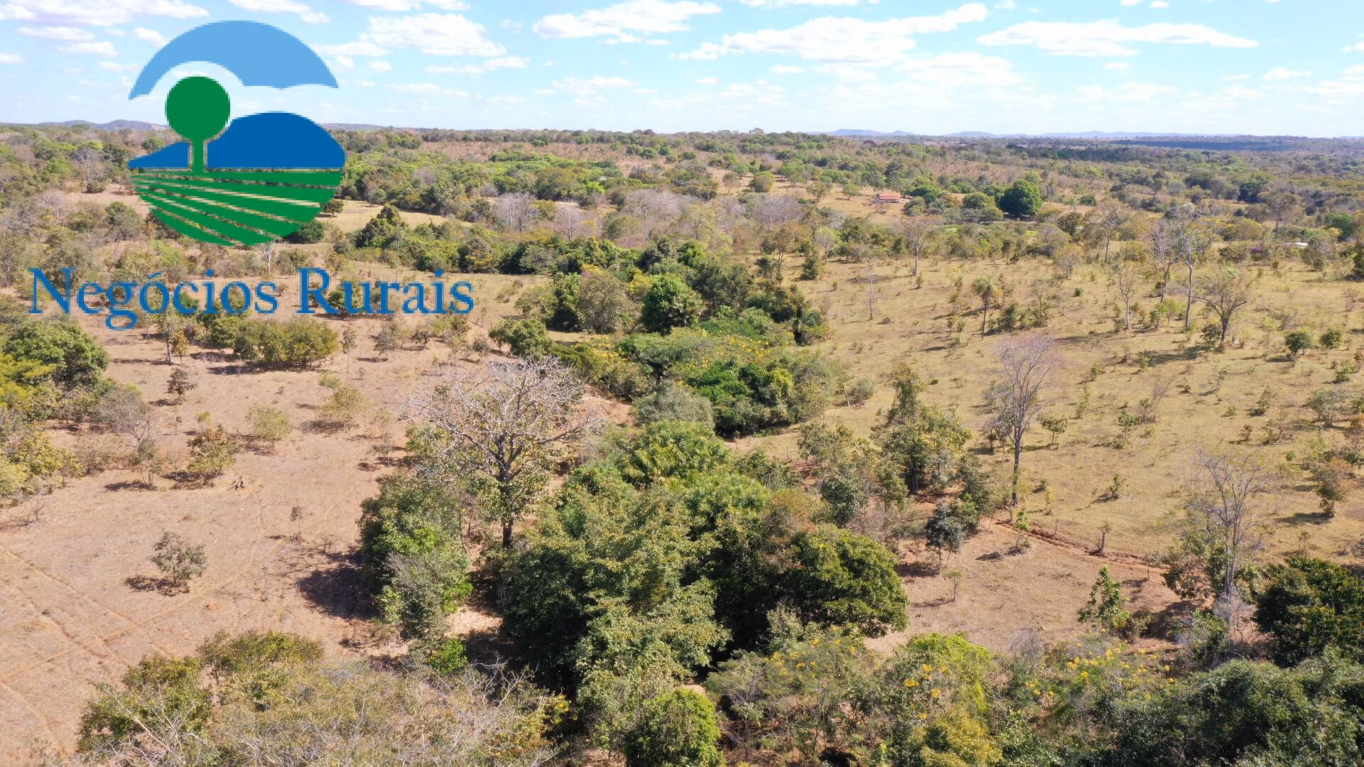 Fazenda de 295 ha em Formoso, GO
