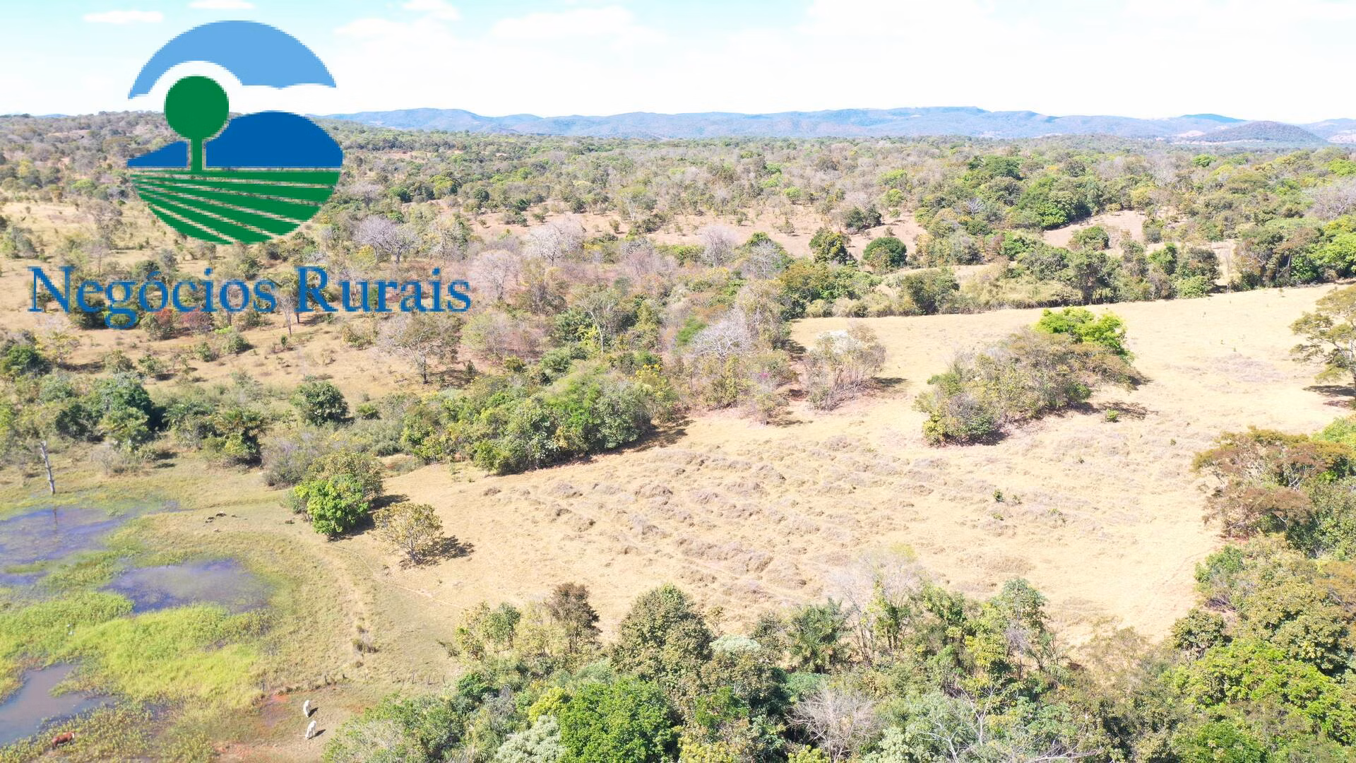 Fazenda de 295 ha em Formoso, GO
