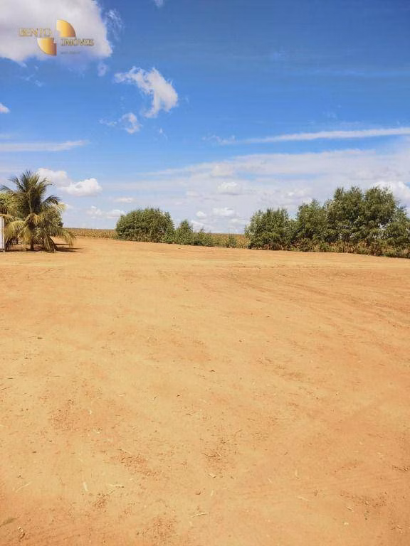 Fazenda de 1.200 ha em Sorriso, MT