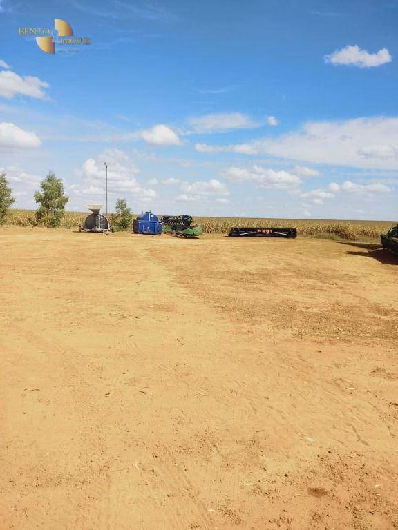 Fazenda de 1.200 ha em Sorriso, MT