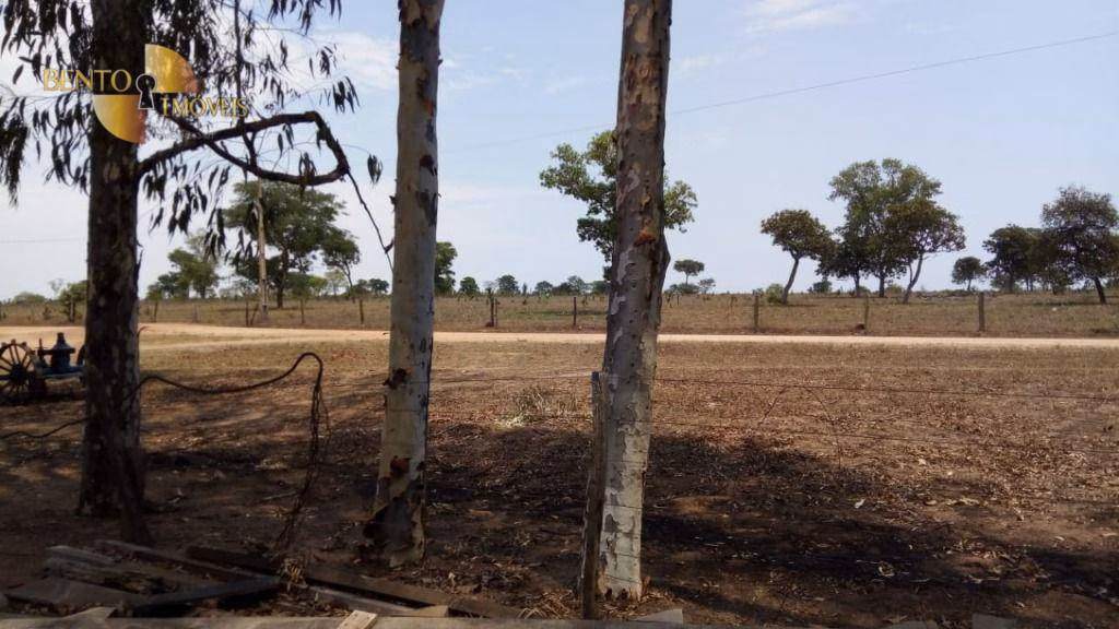 Fazenda de 1.064 ha em Nova Xavantina, MT