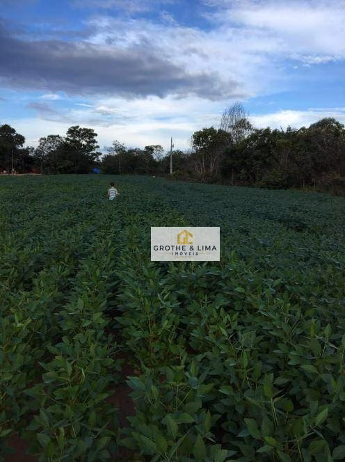 Farm of 1.615 acres in Colinas do Tocantins, TO, Brazil