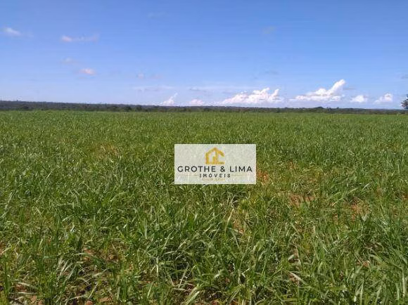 Fazenda de 18.653 ha em Araguaína, TO