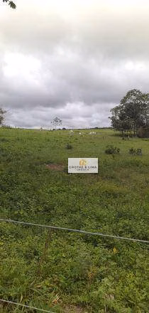 Fazenda de 18.653 ha em Araguaína, TO