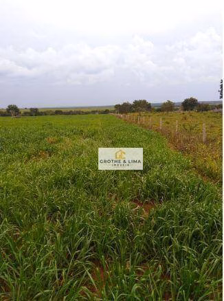 Fazenda de 18.653 ha em Araguaína, TO