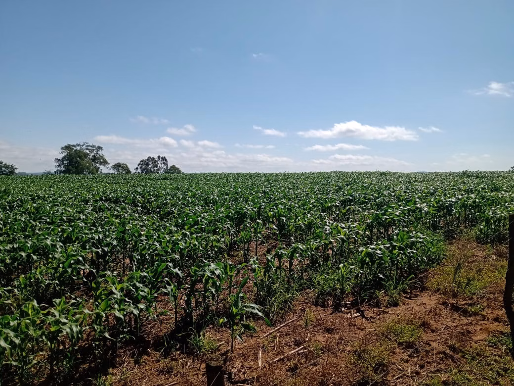 Fazenda de 133 ha em Pilar do Sul, SP