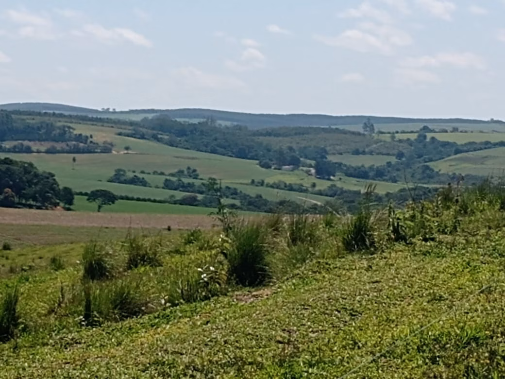 Fazenda de 133 ha em Pilar do Sul, SP