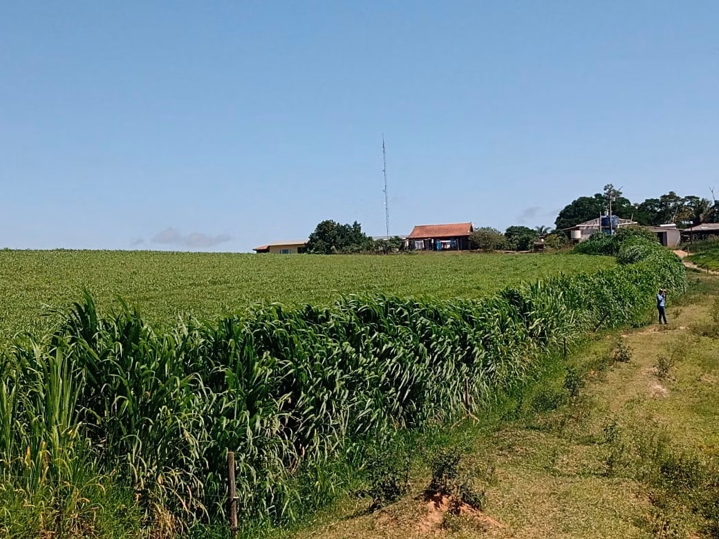 Fazenda de 133 ha em Pilar do Sul, SP