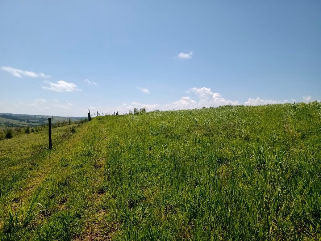 Fazenda de 133 ha em Pilar do Sul, SP