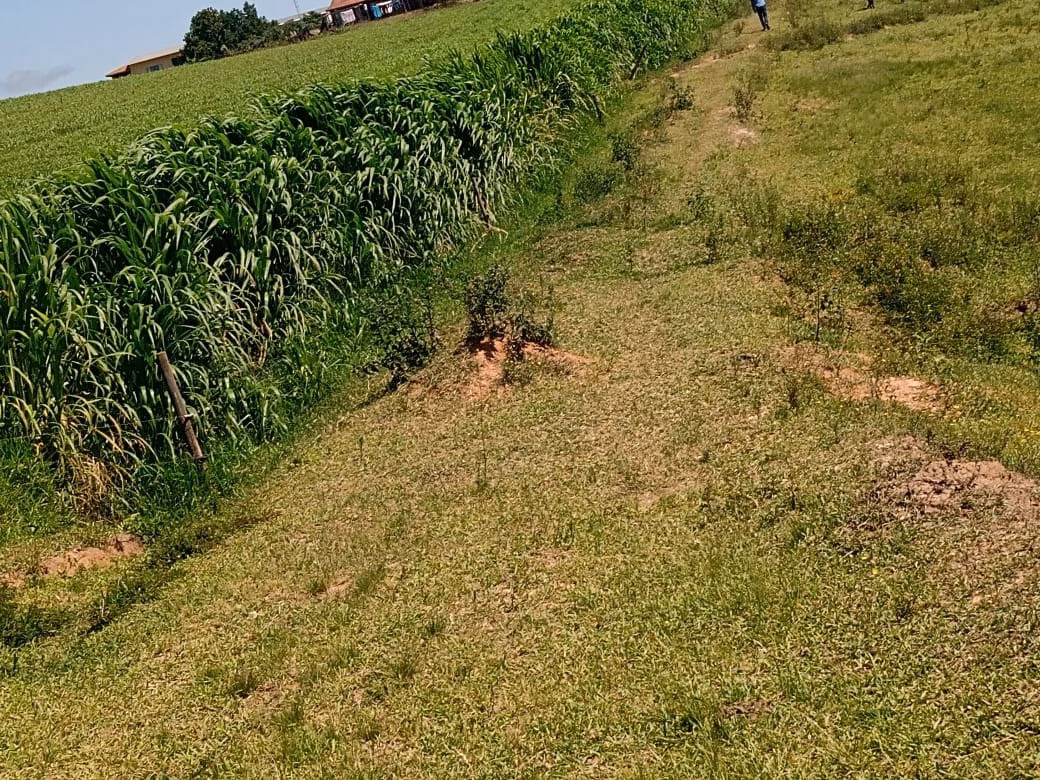 Fazenda de 133 ha em Pilar do Sul, SP