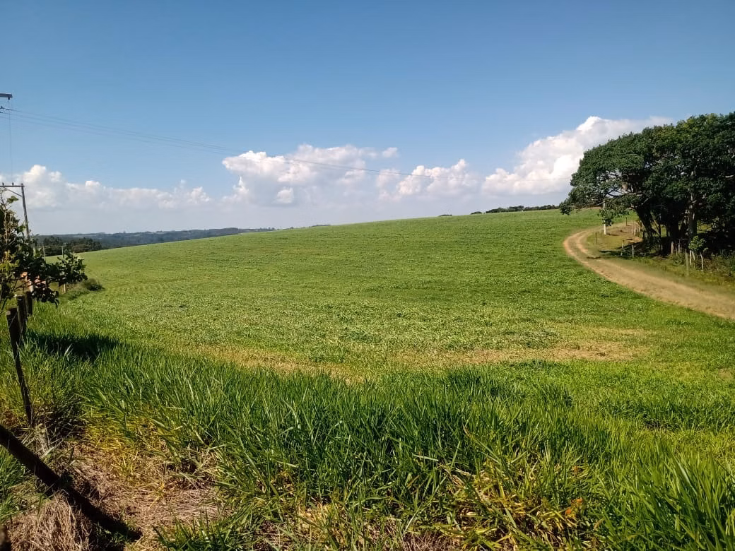 Fazenda de 133 ha em Pilar do Sul, SP