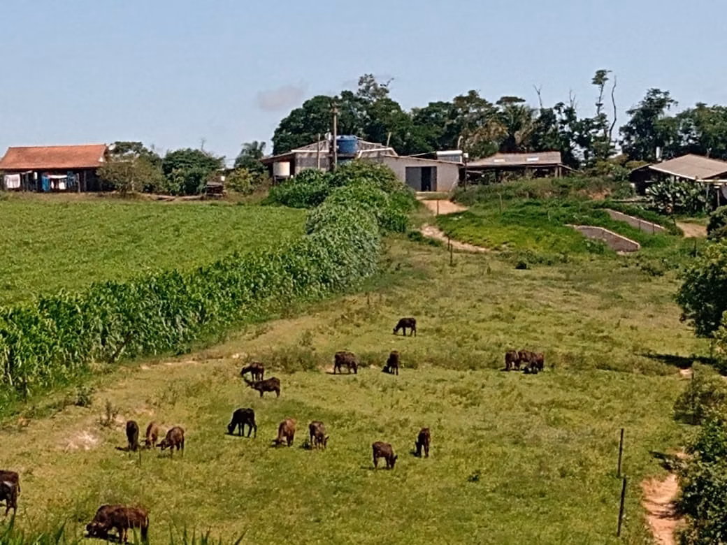 Fazenda de 133 ha em Pilar do Sul, SP