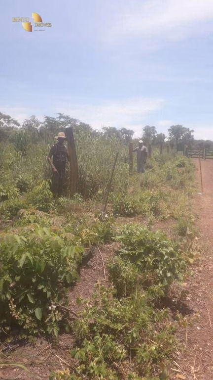 Fazenda de 270 ha em Jangada, MT