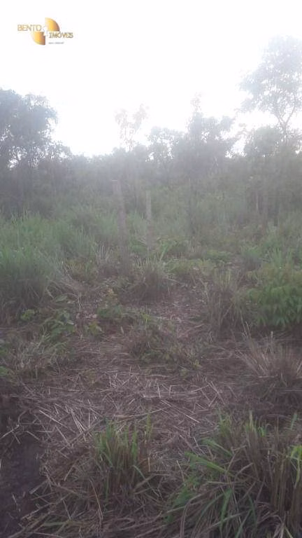 Fazenda de 270 ha em Jangada, MT