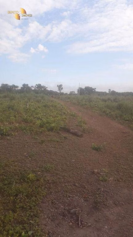 Fazenda de 270 ha em Jangada, MT