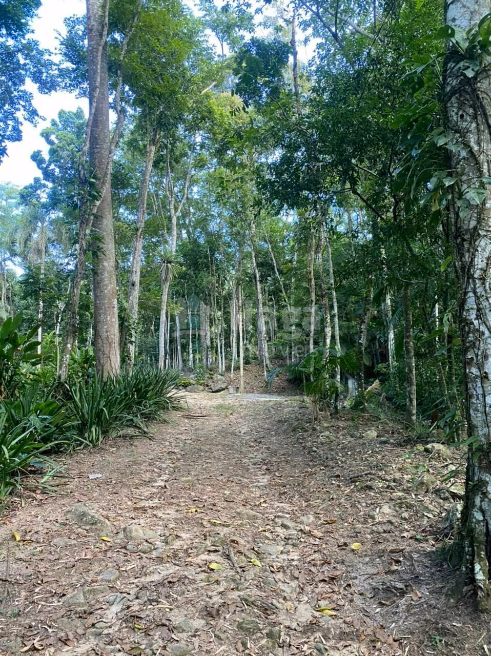 Country home of 5 acres in Canelinha, SC, Brazil